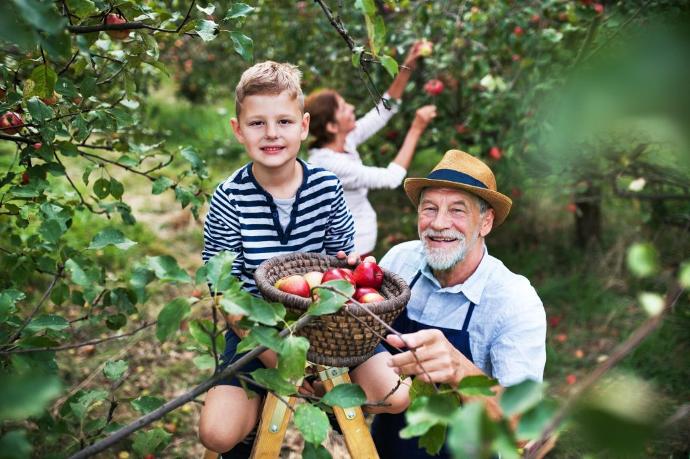 jardinage en famille